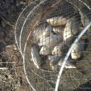 매전낚시터 이미지