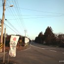 향기노리