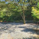 석류민박 이미지