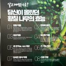 다송로72번길 | 부산 다대포 맛집 형과아우 누룽지삼계탕 한식 명장님의 손길