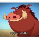 하쿠나마타타 이미지