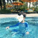 한국지엠북부서비스센터 | 푸꾸옥 아이랑 가족여행 북부 빈펄사파리, 빈원더스 등 베이비시터와 여행 후기