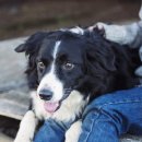 계산메디칼센타 이미지