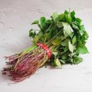 제이에스컴퍼니 이미지