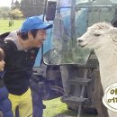라라패션 네이버블로그