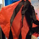 지혜횟집 | 이태원 방어 횟집 맛집 정글수산 가성비 회식장소 내돈내산