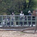 전주동물원 이미지