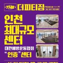 더 피티 이미지