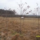 (주)황금농장 이미지