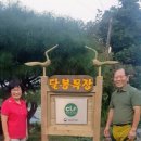 김동식축산 이미지