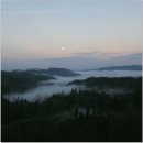 트리하우스 이미지