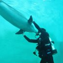 마린파크 이미지