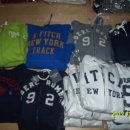 공룡코딱지 이미지