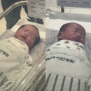 숲속의 작은집 | 25.8월 기록(1)_숲속의작은집/푸드실방/디오리지널바먼트델리