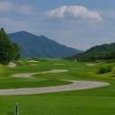 진골프클럽 이미지