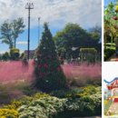 제26회 순천만 갈대축제(가을) 이미지