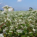 남국농장 이미지