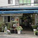 진시장로 이미지