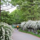 황금내근린공원 이미지