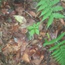 가야농장 이미지