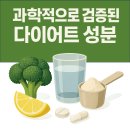 신진가스 | 광고 말고 리얼 후기! 사람들이 직접 먹고 효과 봤다는 다이어트 영양제 5가지