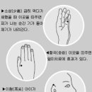 침술원 티스토리