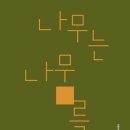 나무 206 이미지