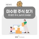 둔산중로-52 네이버블로그