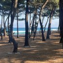 신라가든 | 강릉 호텔 추천 신라모노그램 다녀옴 ㅣ 디럭스 트윈 가든 오션뷰 후기 + 조식·수영장 리뷰