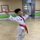 송화태권도 네이버블로그