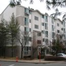 초지초등학교 이미지