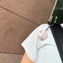 쌍방울잠실 | [나의 야구 일기] ⚾️누나 야구 선수에요? 근데 26년 시골쥐의 직관 후기를 곁들인..