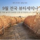 거꾸로가는시간양 네이버블로그