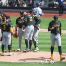 안타코리아 이미지