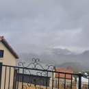 스테이오로지 이미지