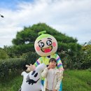 나비오리농원 | 핼러윈 즐기기 위해 아이와 방문한 고창 상하농원