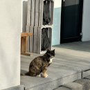 11650-17-122-9 | [양평 숙소] 서울 근교 프라이빗 감성 독채펜션 ‘별담하늘담’ 내돈내산 후기