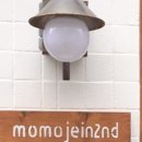 모모제인