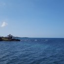 곽지올레 이미지