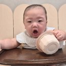주원중기 | 중기 아기 이유식 시판 배달 전문 닥터리의 로하스밀