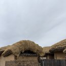 김천혁신24시전주명가 | 마음에도 볕이 드는 시간이 필요해