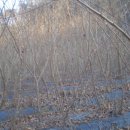 신태양 농원 이미지