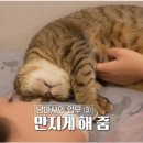 라라농장 이미지