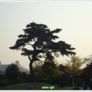 성지요양병원 이미지