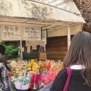 무인카페데이지 | 5천원에 가져온 해바라기 한다발! 김광석거리 숨겨진 무인꽃집 다녀왔어요