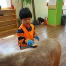 하얀유치원 이미지