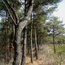 대산마을 옹벽 | 낙남정맥 제7차 담티재에서 오곡재까지 산행 후기