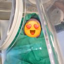 11650-5-57-38 | 모태안 산부인과 제왕절개 출산 후기｜38주 3일 수술 과정·회복 정리