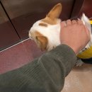 귀공자세탁소 | 10월 훑기 (2 : Coldplay Live Broadcast)