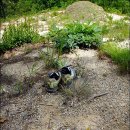 호산마을 이미지